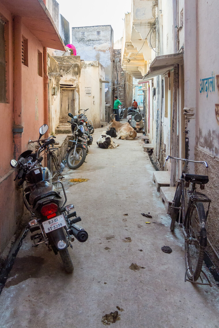 India 2014 - Pushkar 019.jpg
